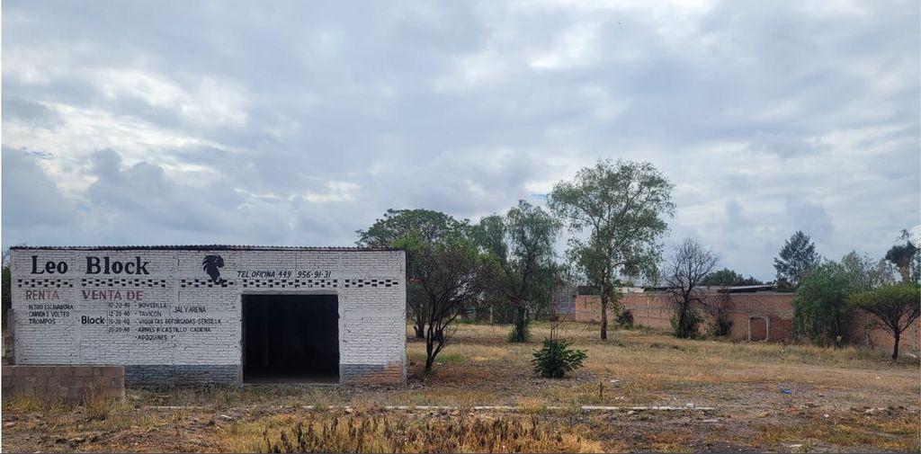 Foto de la galeria de imagenes