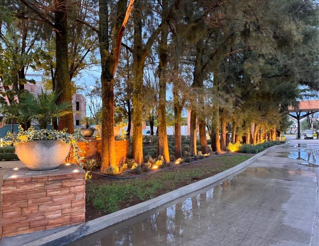 Foto de la galeria de imagenes