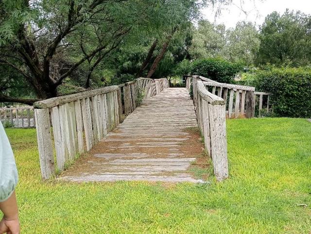 Foto de la galeria de imagenes